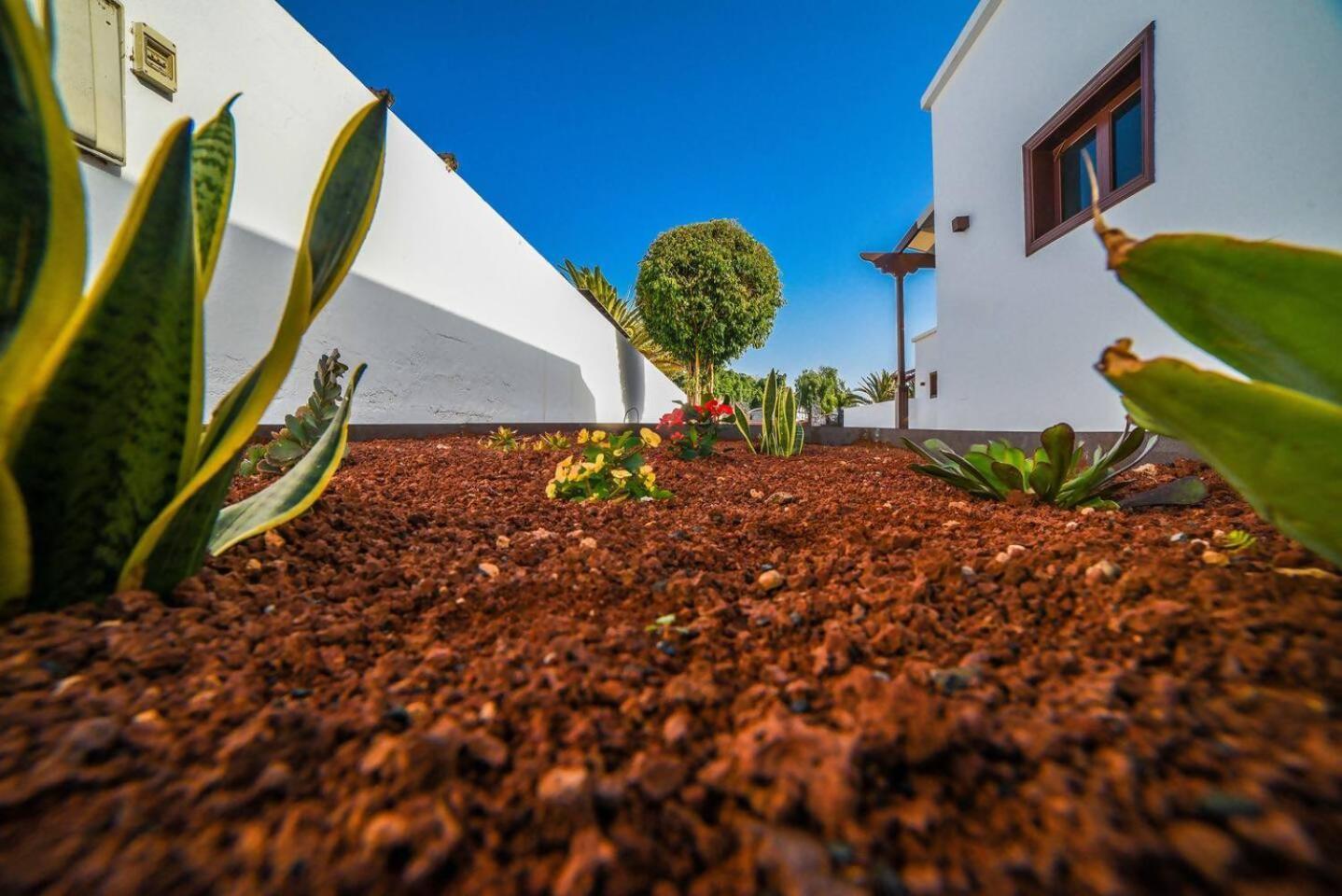 Agradable Y Familiar Con Piscina Casa Inima Villa ปลายาบลังกา ภายนอก รูปภาพ